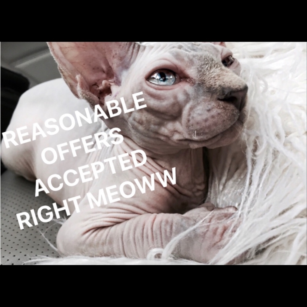Make me OFFERS!